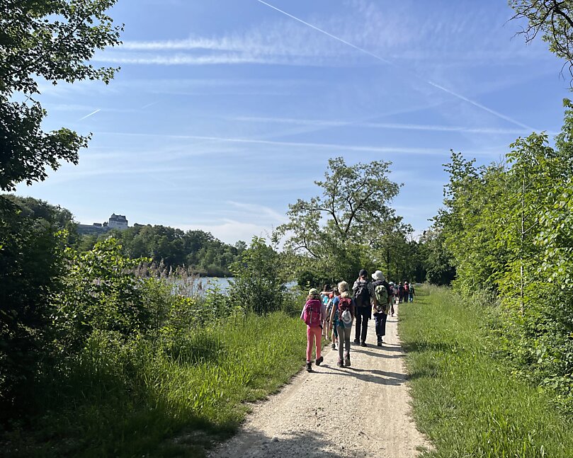 Der Aare entlang nach Wildegg
