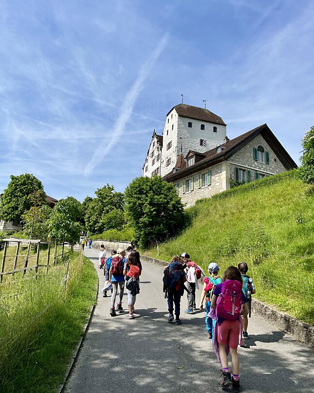 Hinauf zum Schloss Wildegg